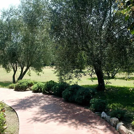 Casa Santina * Girasole