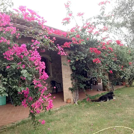 Casa Santina Girasole