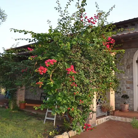 Casa Santina Casa vacanze Girasole