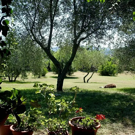 Casa Santina Holiday home