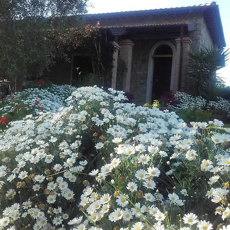 Сasa de vacaciones Casa Santina *