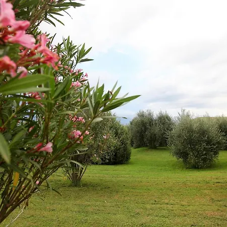 卡萨桑蒂那住宿加早餐旅馆 度假居 *