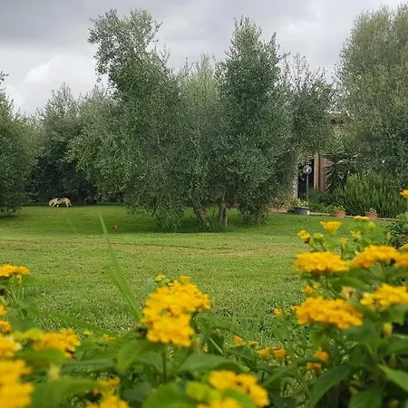 Casa Santina Holiday home