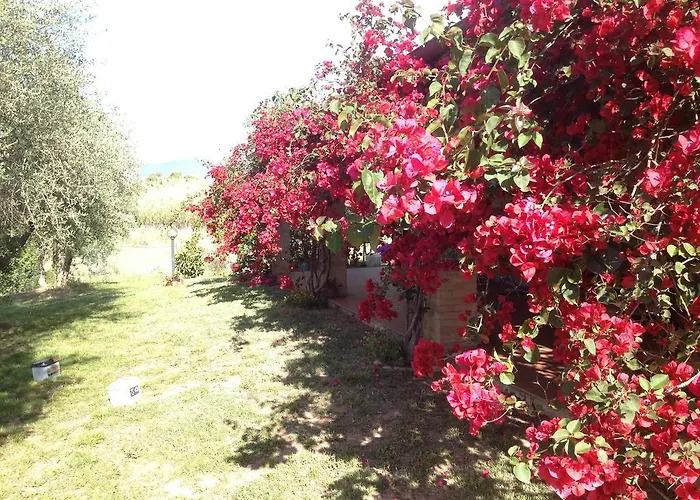 度假居 卡萨桑蒂那住宿加早餐旅馆 *