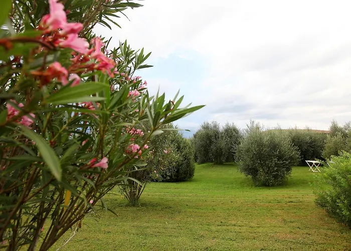 卡萨桑蒂那住宿加早餐旅馆 度假居 *